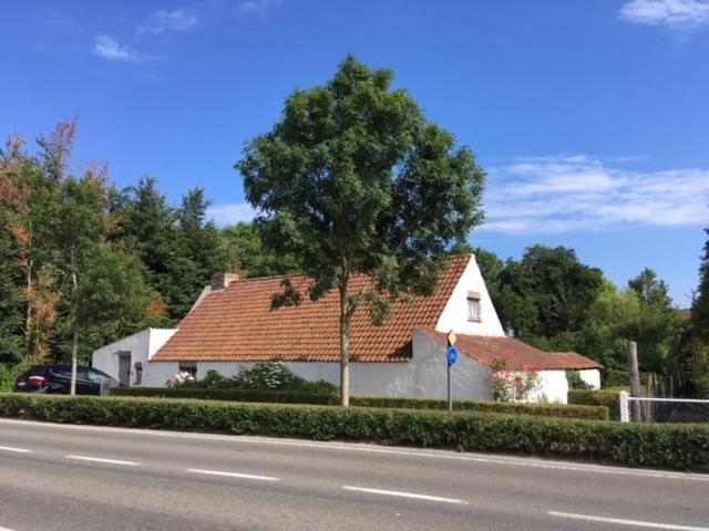Albatros Bed & Breakfast Koksijde Bagian luar foto
